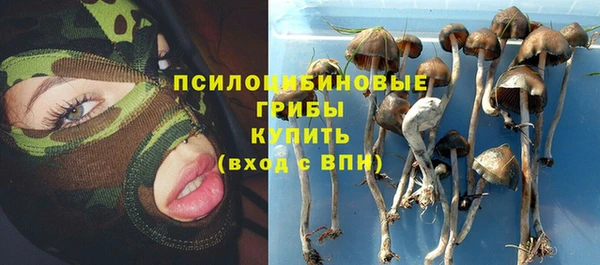меф Пересвет
