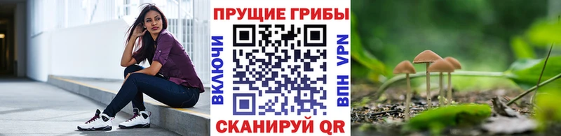 где купить наркотик гидра вход Псилоцибиновые грибы Psilocybine cubensis дарк нет какой сайт Усть-Катав